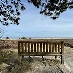 Strandläufernest