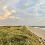 Strandläufernest