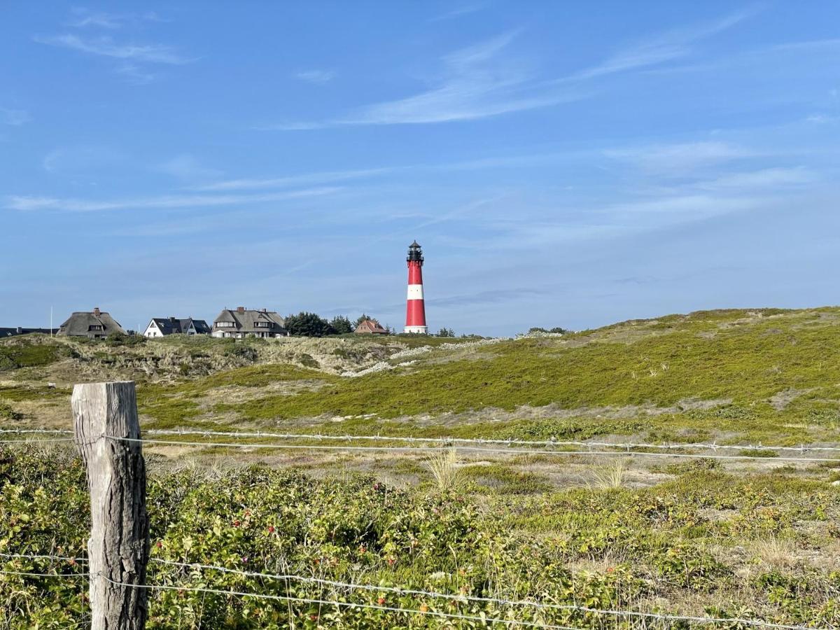 Strandläufernest *
