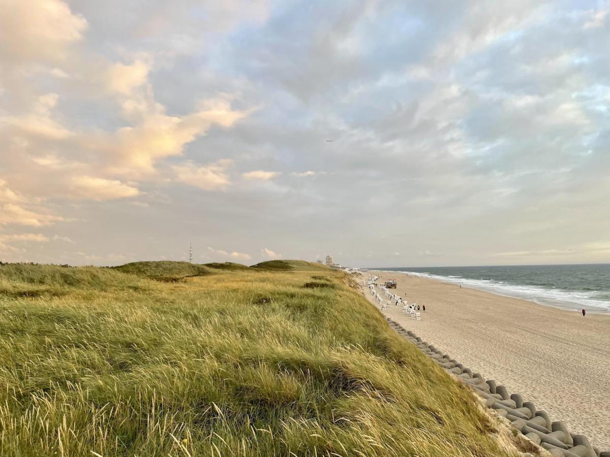 Strandläufernest Rantum (Sylt)