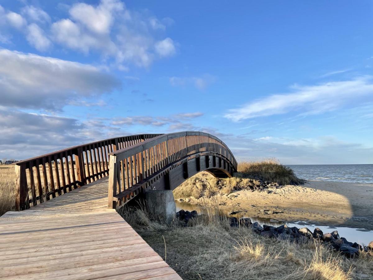 Strandläufernest * Rantum (Sylt)